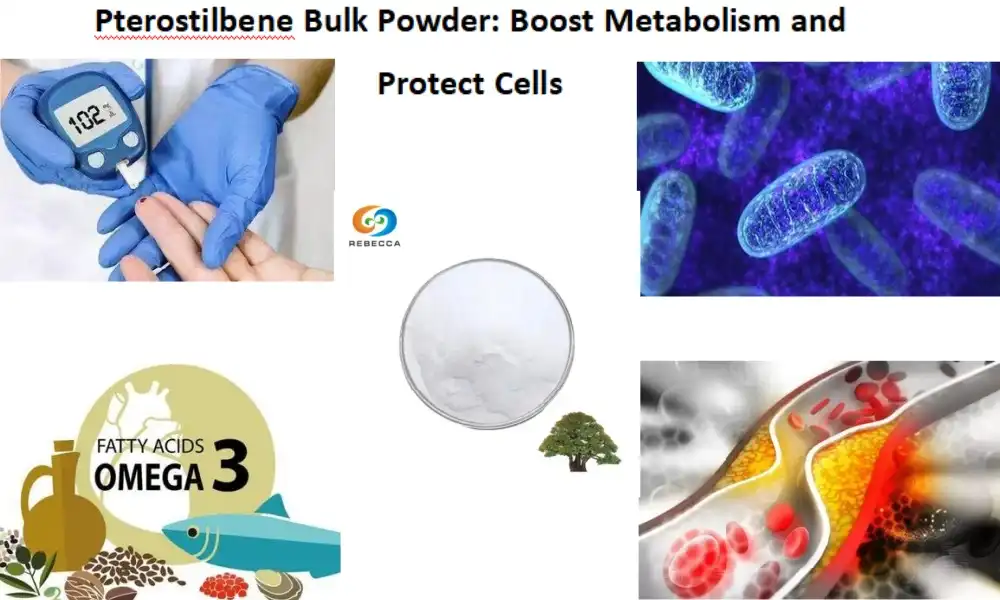 Pterostilbene Bulk Powder: Boost Metabolism and Protect Cells